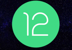 Android 12 Developer Preview 2带来了画中画模式