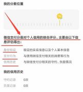 微信支付分怎么提高分数 分享微信支付分